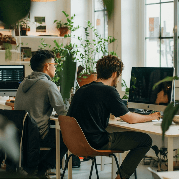 BacklinksWallet digital marketing company